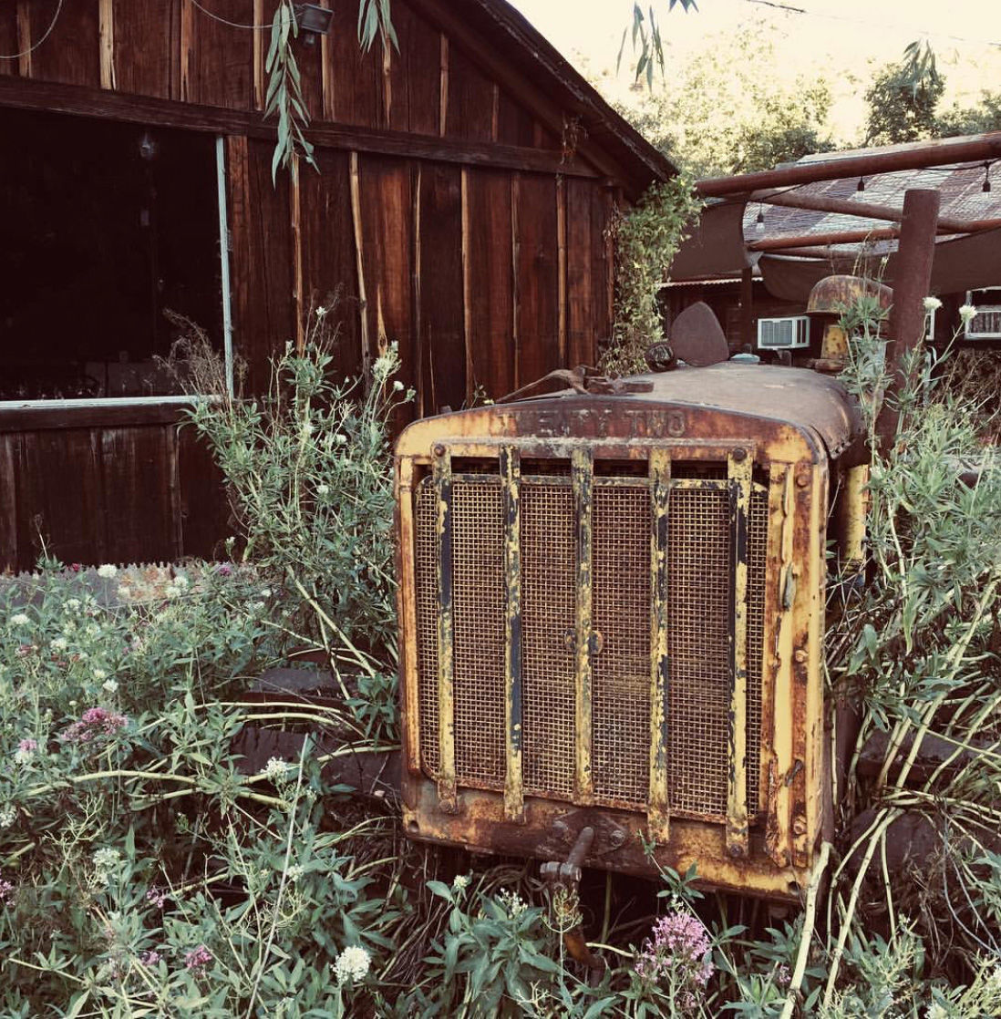 Chloe Kelsey - Rustic Rust.jpg